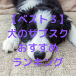 【ベスト３】 犬のサブスク おすすめ ランキング