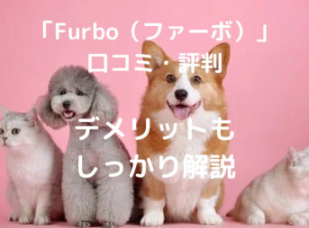 「Furbo（ファーボ）」 口コミ・評判