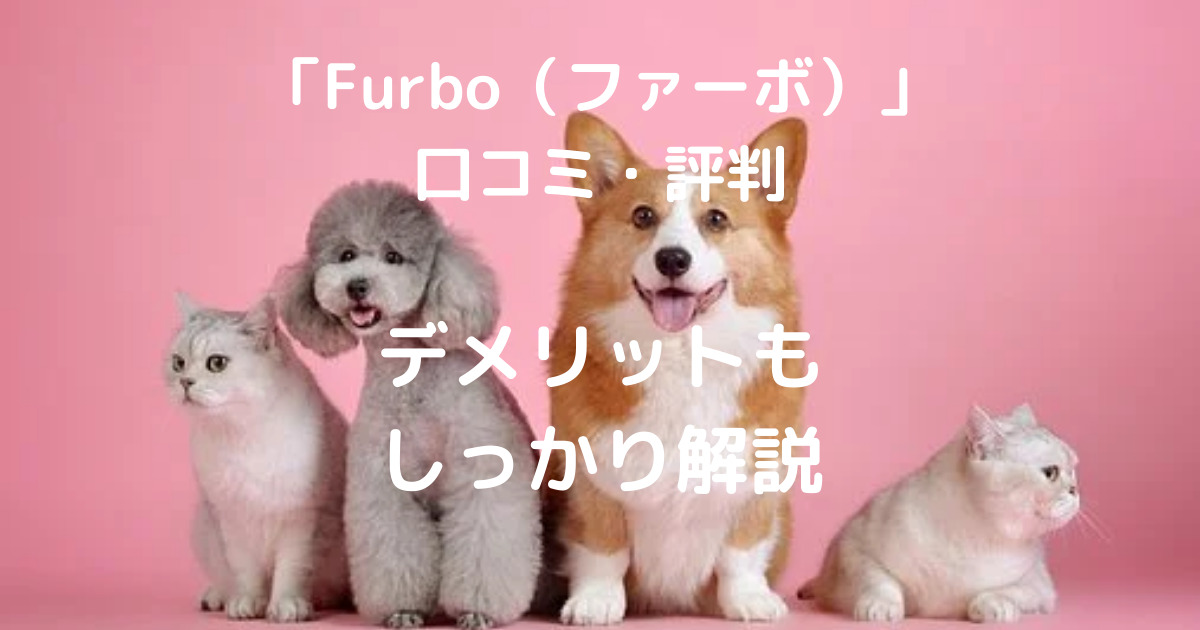 「Furbo（ファーボ）」 口コミ・評判
