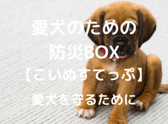 愛犬のための 防災BOX 【こいぬすてっぷ】