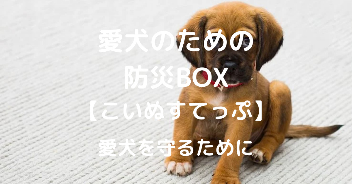 愛犬のための 防災BOX 【こいぬすてっぷ】