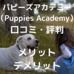 パピーズアカデミー （Puppies Academy） 口コミ・評判 メリット デメリット